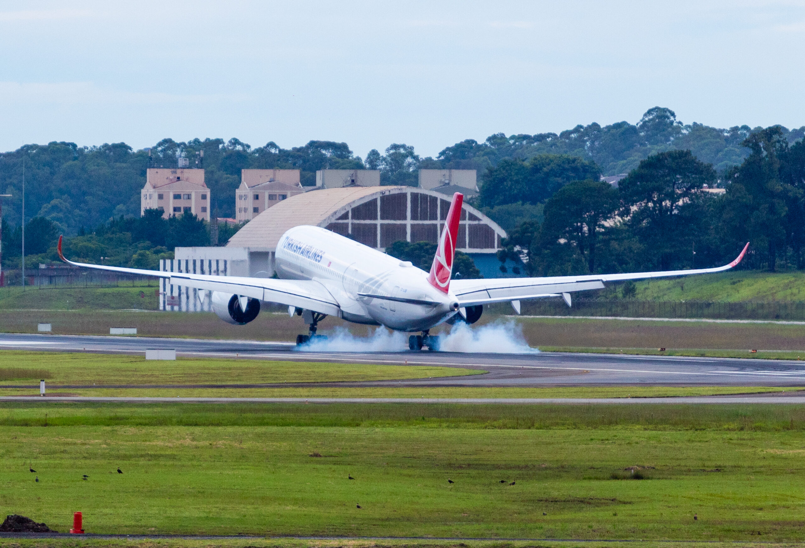 TC-LGB – Airbus A350-900 – Turkish Airlines - Blog do Spotter